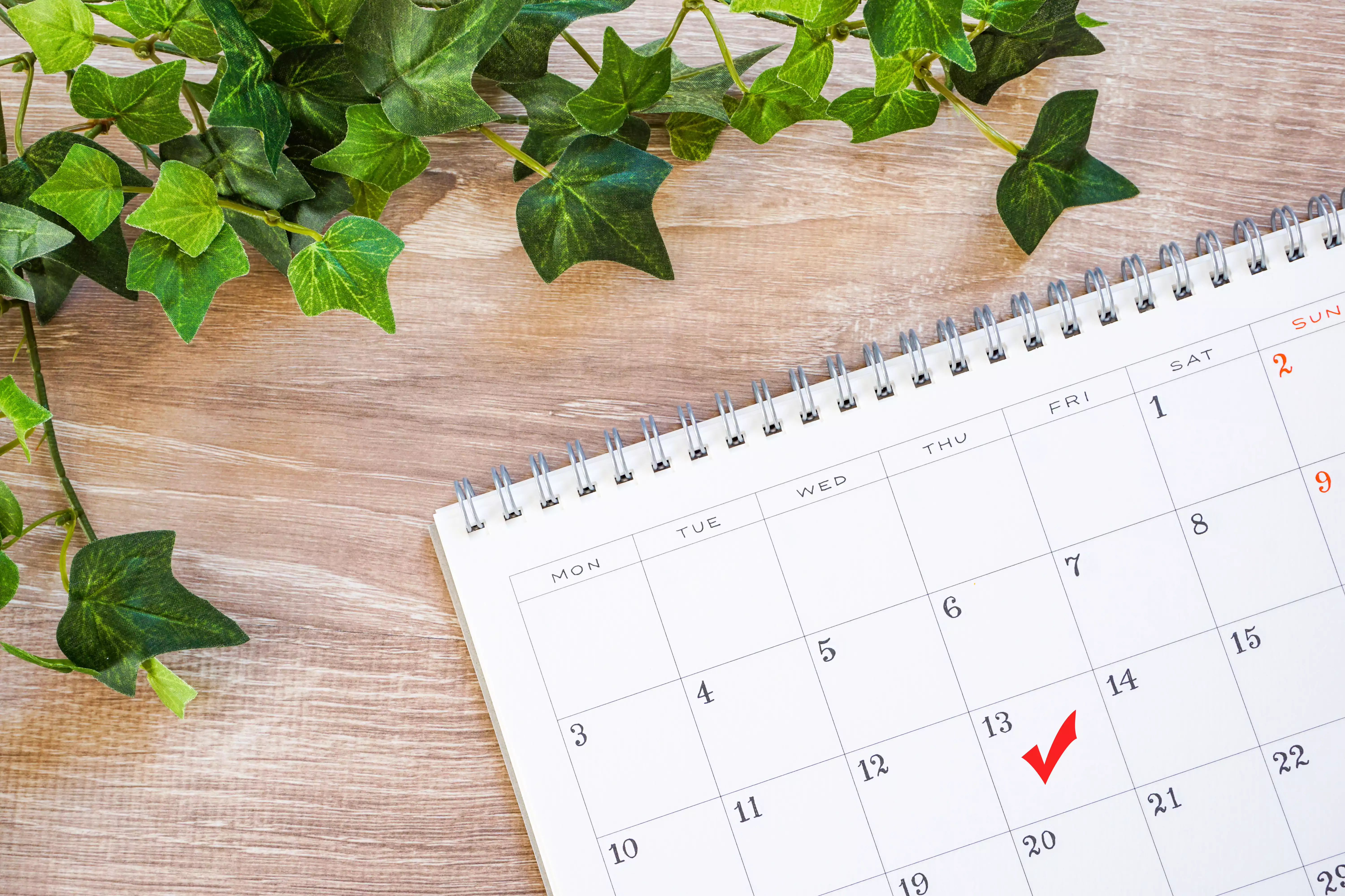 Réservations et calendrier